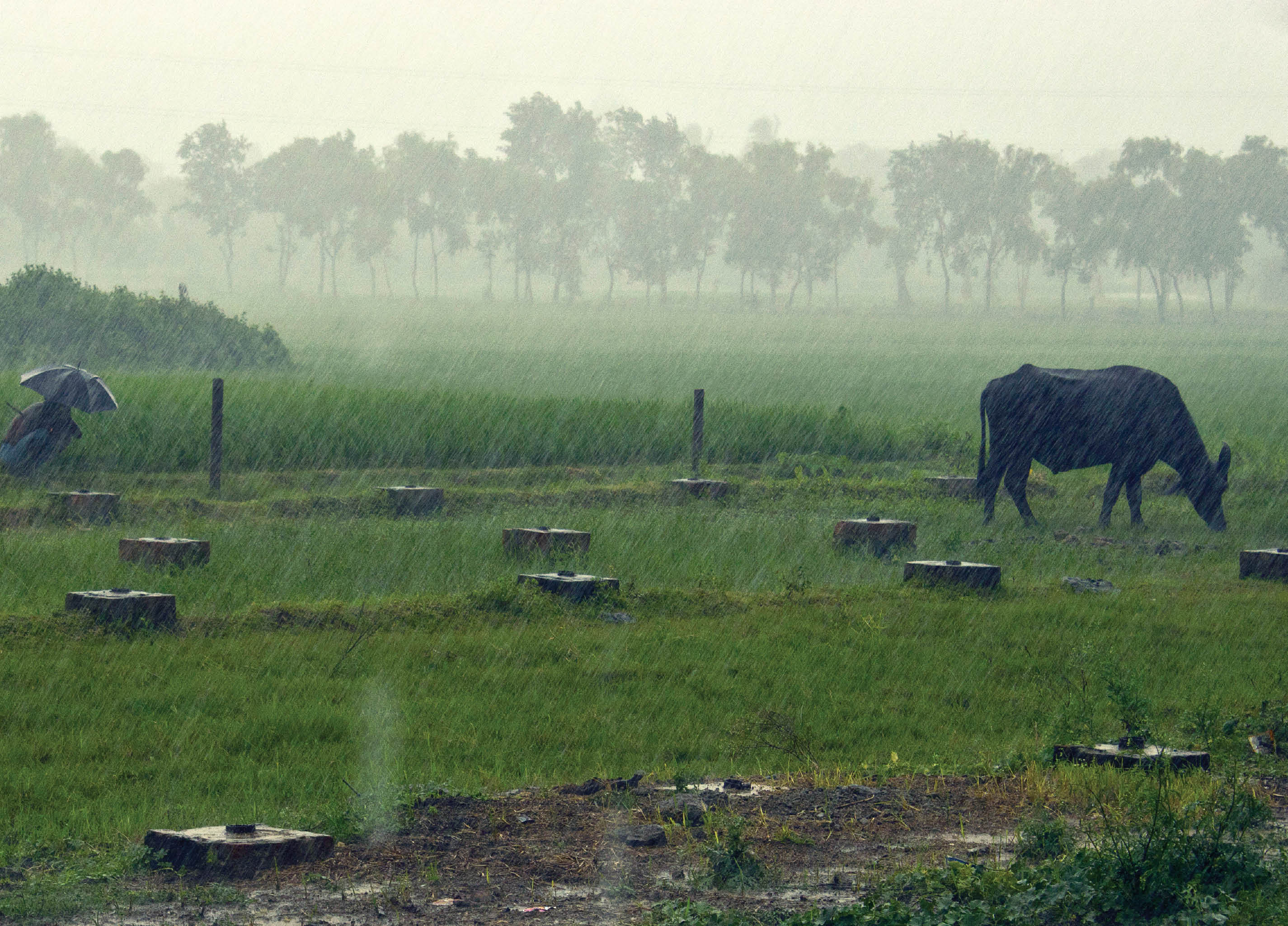 Predicting Heavy Rainfall during Cyclones